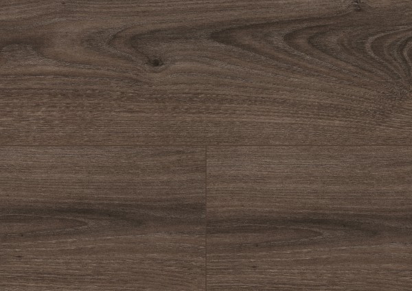 Royal Chestnut Mocca.jpg